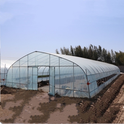Haute serre chaude agricole de pellicule de polyéthylène de voûte de cercle pour la plantation