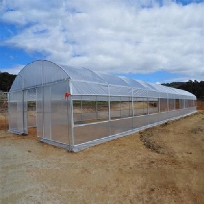 L'immersion chaude d'envergure simple d'agriculture a galvanisé la serre chaude en plastique de tunnel de tuyau pour la fraise