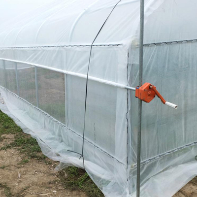 Fraise élevant la serre chaude en plastique de tunnel simple agricole de l'envergure 2m