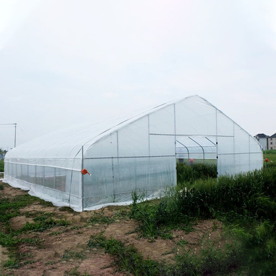 Structure simple de plastique de serre chaude agricole de feuille facilement installée