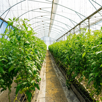 Envergure simple de ventilation de système de tomate de serre chaude en plastique agricole latérale de tunnel