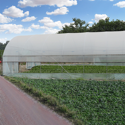 Tunnel en plastique galvanisé extérieur de film de feuille de serre chaude de cadre en acier agricole