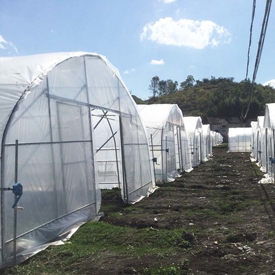 Tunnel en plastique galvanisé extérieur de film de feuille de serre chaude de cadre en acier agricole