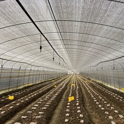 Noir simple Mesh Mushroom Cultivation In Greenhouses de serre chaude d'envergure de double couche
