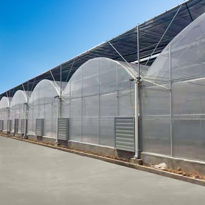 Culture en verre transparente d'usine de serre chaude de Multispan de tunnel