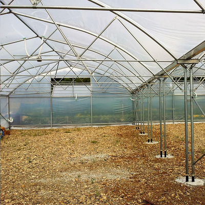 Les serres chaudes agricoles galvanisées d'envergure multi de cadre en acier fleurissent la culture de légumes