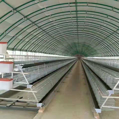 Poly ferme avicole de serre chaude de tunnel pour le poulet de moutons