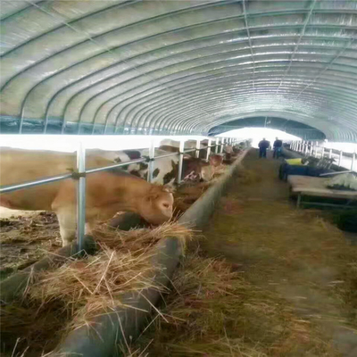Poly ferme avicole de serre chaude de tunnel pour le poulet de moutons