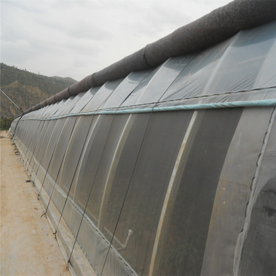 Passif actionné solaire en acier galvanisé à chaud de serre chaude dans solaire