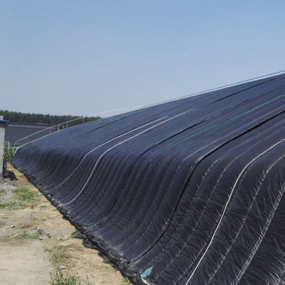 Agriculture cultivant le passif hydroponique solaire de serre chaude solaire