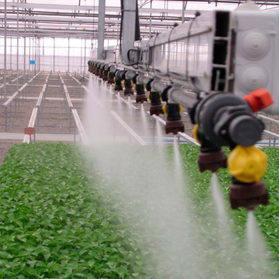 Système d'irrigation de serre chaude de blé/systèmes d'irrigation noirs de Polytunnel