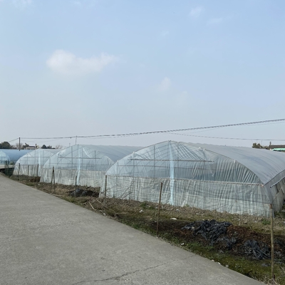 Serre chaude claire de Simple-envergure de feuille de plastique de vue stable de structure d'agriculture
